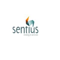 Sentius Strategy - Find Top Marketing Consultants image 1